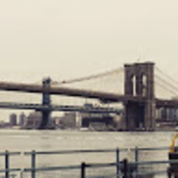 Meet your Posher, Bailey - Picture 1 of 1